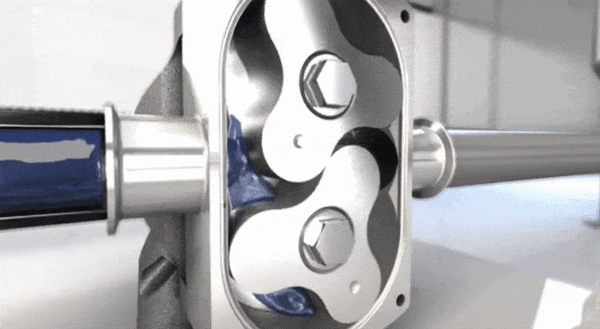 Rotary Lobe Pump - Gears Rotating